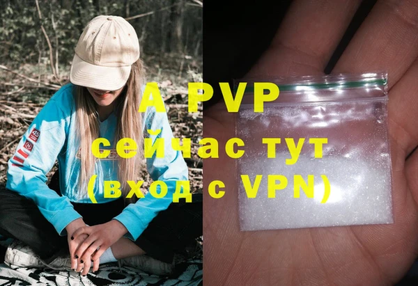 крисы Аркадак