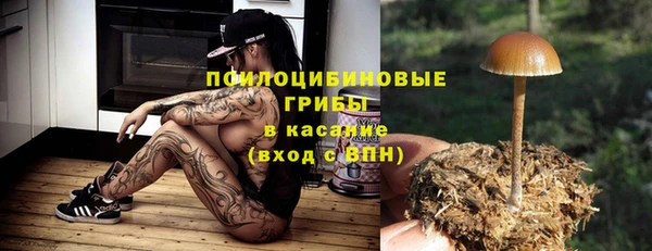 бутират Арсеньев