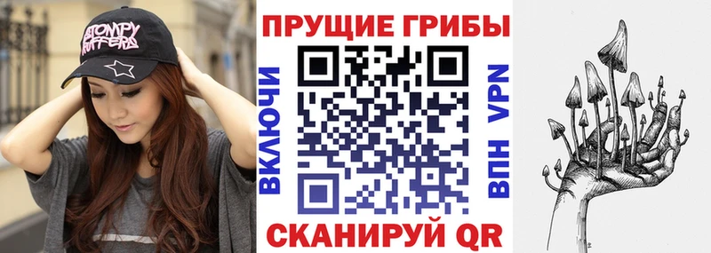 Галлюциногенные грибы мухоморы  наркота  Светлоград 